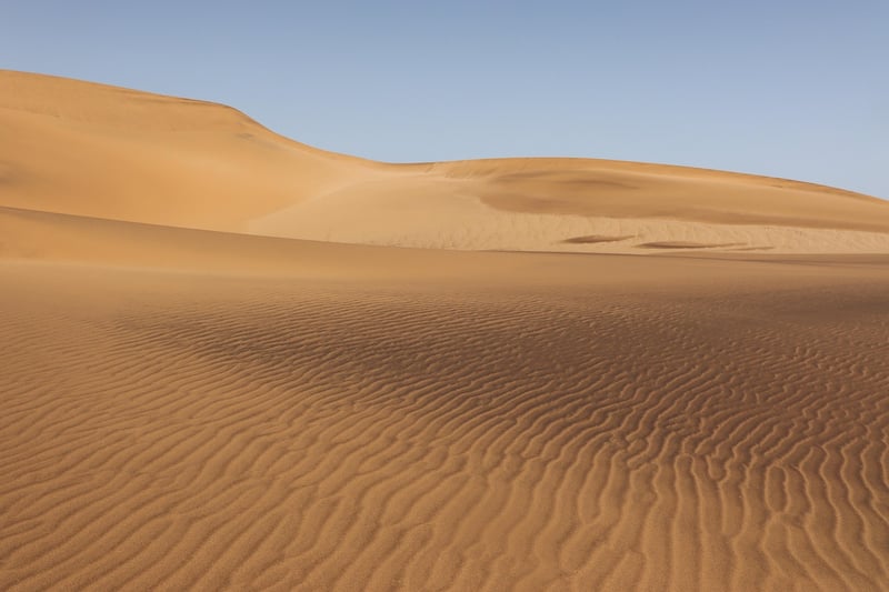 Desert Safari 2